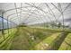 Inside a greenhouse with ample space and natural light, ready for planting and cultivation at 8146 Tropicaire Blvd, North Port, FL 34291