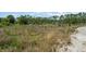 A view of wooded land with overgrown grass at 8146 Tropicaire Blvd, North Port, FL 34291