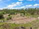 Expansive parcel with diverse natural features, ideal for agricultural or recreational pursuits at 8146 Tropicaire Blvd, North Port, FL 34291
