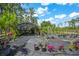 Outdoor plant Bedroom showcasing a diverse selection of plants and flowers in black pots at 8146 Tropicaire Blvd, North Port, FL 34291