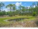 Secluded pond on a wooded lot at 8146 Tropicaire Blvd, North Port, FL 34291