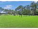 A community playground with a swing set and other playground equipment sits on a bright green lawn at 245 Cape Harbour Loop # 103, Bradenton, FL 34212