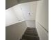 Carpeted stairs leading to the home's second level at 2824 Rock Sound St, Bradenton, FL 34208