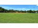Well-maintained baseball field with lush green grass and clear blue skies, ideal for sports and recreational activities at 4214 Groveland Ave, Sarasota, FL 34231