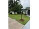 Well-maintained front yard featuring a decorative lamp post and lush greenery at 1725 Briar Creek Ln, Sarasota, FL 34235