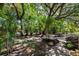 Lush landscaped backyard with mature trees, stone paver patio, and tropical foliage at 1857 Siesta Dr, Sarasota, FL 34239