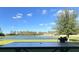 Backyard view showcasing a tranquil lake, bordered by verdant lawn and mature trees under a blue sky at 19293 Breynia Dr, Lutz, FL 33558