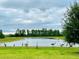 Scenic pond with green space is home to a flock of elegant birds, enhancing the tranquil environment at 19293 Breynia Dr, Lutz, FL 33558