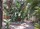 Landscaped backyard featuring lush tropical plants and a stone paver walkway at 2411 Quail Ct, Bradenton, FL 34209