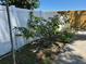 Backyard showcasing a well maintained white fence, and flourishing greenery and plant life at 2804 11Th Street E Ct, Bradenton, FL 34208
