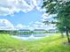 Picturesque pond surrounded by lush greenery and a row of well-maintained homes under a bright, cloudy sky at 6253 Whetstone Ct, Palmetto, FL 34221