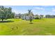 Expansive home featuring a large lawn, mature trees, and a serene backyard at 18307 White Fang Ct, Parrish, FL 34219