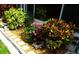 Professionally landscaped flower bed outside window provides color and curb appeal at 1850 Sunny Dr # F4, Bradenton, FL 34207