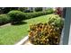 Well-maintained landscaping with vibrant bushes and green grass at 1850 Sunny Dr # F4, Bradenton, FL 34207