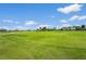 A wide open view of a lush green golf course with blue skies at 2417 Fairway Oaks Dr # 22, Palmetto, FL 34221