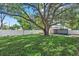A spacious backyard features a huge tree for shade and is surrounded by a white privacy fence at 5718 Magnolia N St, St Petersburg, FL 33703