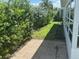 Private backyard featuring lush landscaping and a brick-paved walkway at 675 El Centro # 675, Longboat Key, FL 34228