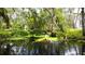 A serene backyard with a pond, fountain, lush greenery, and trees creating a peaceful retreat at 25640 State Road 70 E, Myakka City, FL 34251