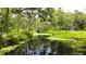 A scenic pond surrounded by lush greenery and mature trees, creating a serene and natural environment at 25640 State Road 70 E, Myakka City, FL 34251