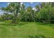 Lush backyard featuring a large grassy area bordered by mature trees and tropical landscaping at 6644 Butlers Crest Dr, Bradenton, FL 34203