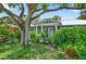 Inviting front entrance with blue trim, mature tree, and lush landscaping at 2460 Hillview St, Sarasota, FL 34239