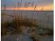 A beach scene with tall grasses in the foreground and the gulf waters in the background at 701 Marbury Lane, Longboat Key, FL 34228