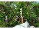 Tree with hanging buoys at 701 Marbury Lane, Longboat Key, FL 34228