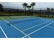 Outdoor pickleball court with net and fencing, ideal for sports and recreational activities at 9291 Starry Night Ave, Sarasota, FL 34241