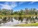 Scenic view of the serene pond surrounded by lush greenery and mature trees at 18068 Cherished Loop, Bradenton, FL 34211