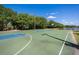Enjoy a game of basketball at this outdoor court featuring green surface, white lines, and backboard by a pond at 280 Dahlia Ct, Bradenton, FL 34212
