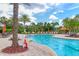 Community pool surrounded by lush palm trees and lounge chairs, providing a relaxing vacation-like atmosphere at 5596 Cantucci St, Nokomis, FL 34275
