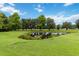 Picturesque backyard pond surrounded by lush greenery, creating a tranquil and scenic outdoor space at 731 116Th Ne Ct, Bradenton, FL 34212