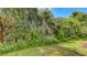Lush backyard featuring trees and thick green foliage for a beautiful and private outdoor space at 8823 White Sage Loop # 1802, Lakewood Ranch, FL 34202