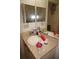 Clean bathroom with a single sink and vanity at 25100 Sandhill Blvd # Y201, Punta Gorda, FL 33983