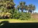 Backyard with palm trees and green grass at 175 Kings Hwy # 411, Punta Gorda, FL 33983
