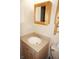 Bathroom with a vanity sink, mirror, and wood cabinet at 175 Kings Hwy # 411, Punta Gorda, FL 33983