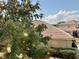 Rear view of house showing tile roof and landscaping at 24479 Vienison Ln, Punta Gorda, FL 33955