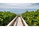 Private walkway to the beach through lush tropical vegetation at 2675 Gulf Of Mexico Dr # 204, Longboat Key, FL 34228