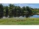 Serene waterfront view with lush vegetation at 2761 Newman Dr, North Port, FL 34288