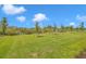 Empty grassy lot with several young trees at 15512 Greenwood Ave, Port Charlotte, FL 33981