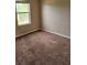 Large carpeted bedroom with a window and neutral wall colors at 9454 Wellstone Dr, Land O Lakes, FL 34638