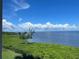 Breathtaking view of the water and lush greenery at 85 Vivante Blvd # 8534, Punta Gorda, FL 33950