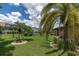 Large backyard with a lush lawn, palm trees, and a black fence at 301 Thorn Hill Pl, Sun City Center, FL 33573