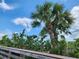 Boardwalk path with lush vegetation and waterfront view at 1286 Hillcrest Nw Ave, Port Charlotte, FL 33948
