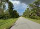 Residential street lined with lush vegetation at 13460 Tolman Ave, Port Charlotte, FL 33953