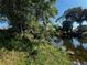 A lush backyard with a tranquil waterway and mature trees, offering a serene natural view at 1405 Dorchester St, Port Charlotte, FL 33952