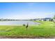 Peaceful waterfront view with sandhill cranes at 1781 W Palms Dr, Port Charlotte, FL 33953