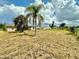 Large backyard with mature palm trees and room for outdoor activities at 2673 Greendale Rd, North Port, FL 34287