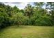 Backyard with lush landscaping and trees at 1565 Dorchester St, Port Charlotte, FL 33952