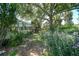 Lush backyard with a shaded path, mature trees, and diverse plantings at 4041 Michel Tree St, Port Charlotte, FL 33948